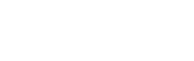 wearivo logo